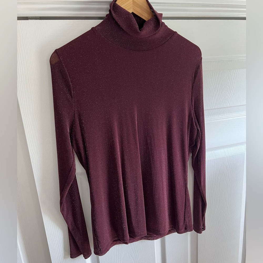 Turtle neck sheer material with sparkled look NWOT